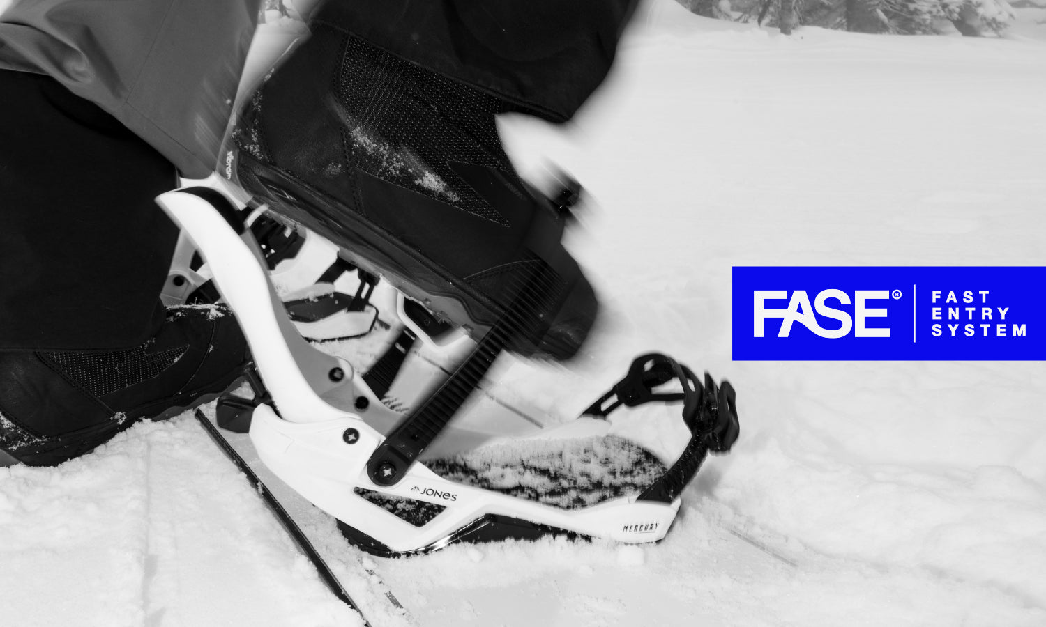 Introducing FASE Bindings