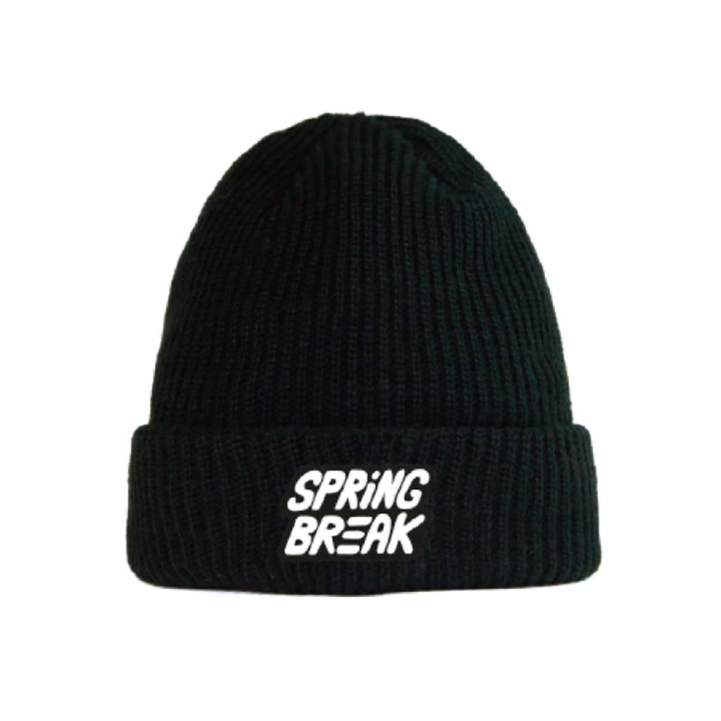 Capita Spring Break Beanie - Black